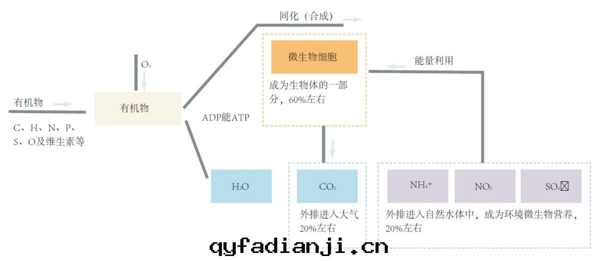 1679031665554860.jpg 箱式生(shēng)物(wù)法(fǎ)廢气(qì)處(chù)理(lǐ)裝(zhuāng)置